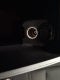 2022 Nissan Frontier Crew Cab PRO-X 4x2
