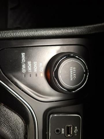 Photo 41