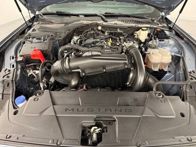 2024 Ford Mustang EcoBoost Premium Fastback
