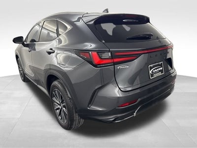 2025 Lexus NX 250 Premium