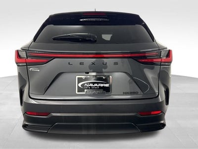 2025 Lexus NX 250 Premium